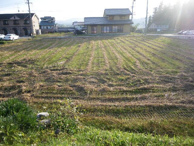 10105 飯田市時又A 田 201坪 500万円
