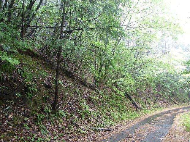 飯田市久米 山林