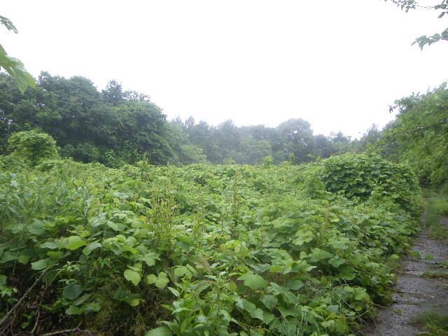 飯田市久米 畑・山林