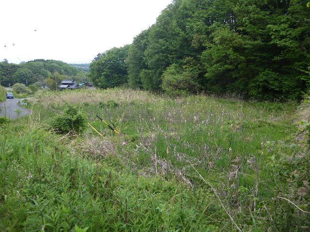 飯田市久米 農地