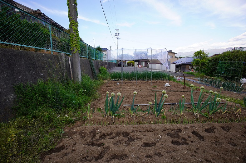 飯田市座光寺売地現地写真