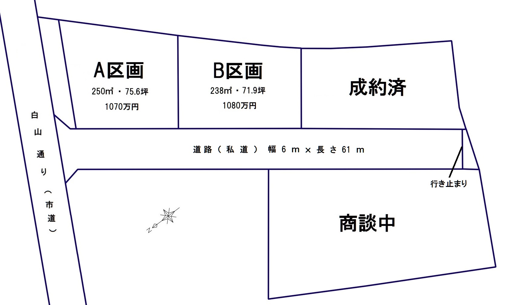 飯田市白山通り分譲区画全体図