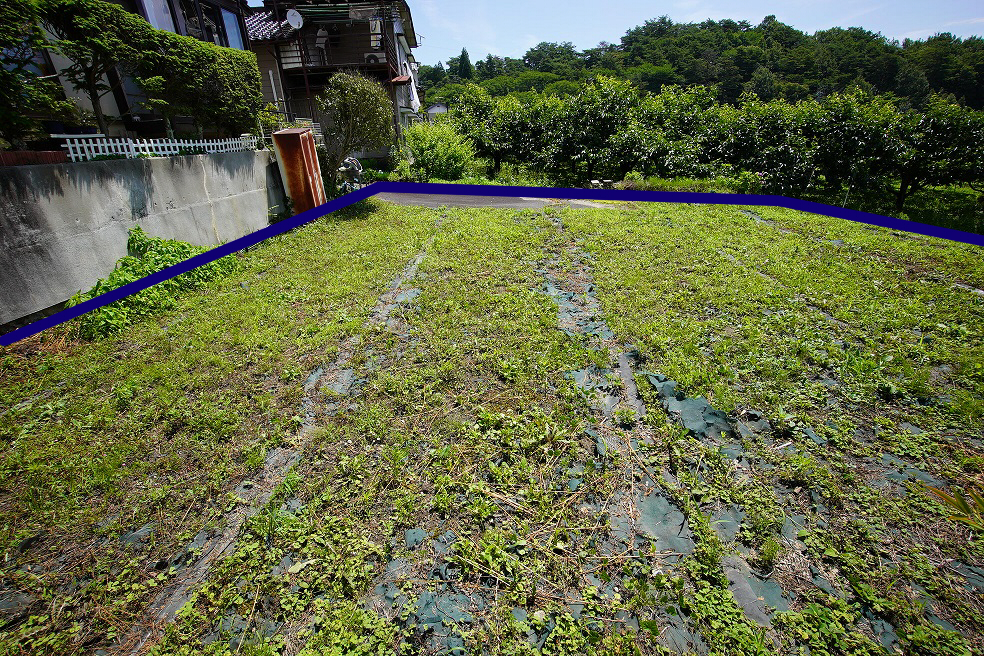 飯田市丸山町売地現地写真