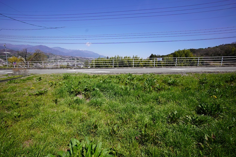 売地　10194　飯田市龍江　75.5坪　180万円