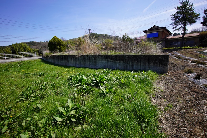 飯田市龍江売地現地写真